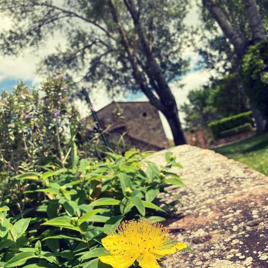 Podere La Chiusella B&B Rapolano Terme Séjour à la campagne