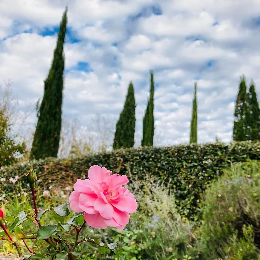 Podere La Chiusella B&B Rapolano Terme Italie