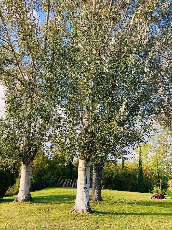 Casa rural Podere La Chiusella B&B Rapolano Terme